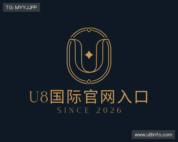 认识U8国际官网入口